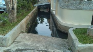 wpid-img_20140719_152211